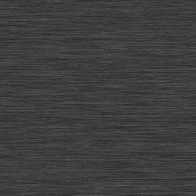 Brushed Lines